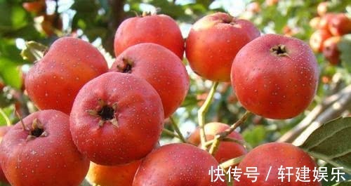 食物|人到中年 ,不妨多吃以下食物,刮油消脂,清热排毒,谁吃谁健康