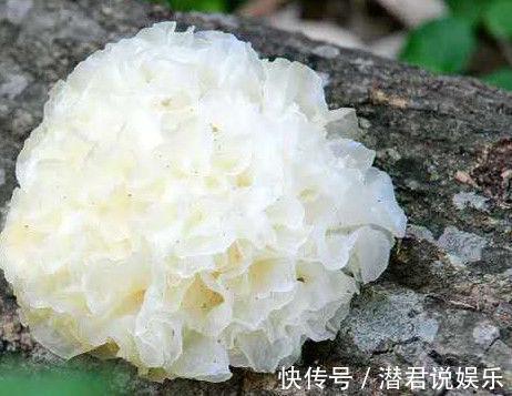 卵巢|女人别太节俭，5种“天然玻尿酸”要多吃，保养卵巢皮肤更细腻