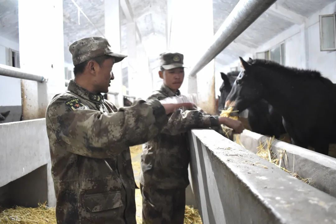 人来自|-38℃，骑马的兵哥哥真帅！