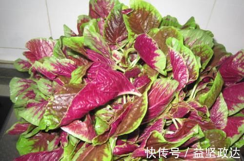 ph值|子宫肌瘤的“救星”出现了,女人常吃,清宫毒化血瘀,保护子宫!