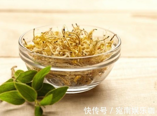 养在卧室“助睡眠”的3种花,在浮躁的社会亲近自然,净化人心灵