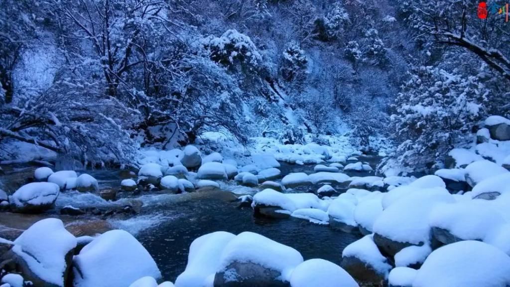 迎一场春雪 待春来花开