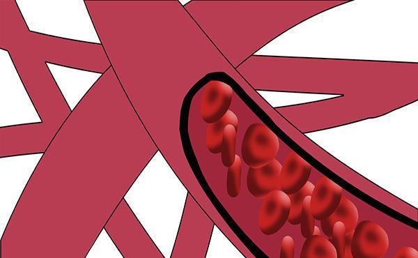 好处|每天坚持走路,身体越走越健康?告诉你走路的好处和科学的走法