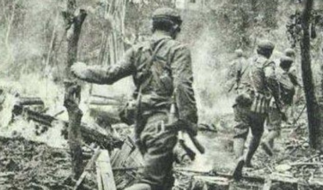 挂帅|得知许世友将军挂帅，越南大将武元甲笑着说了两个字，却被打脸