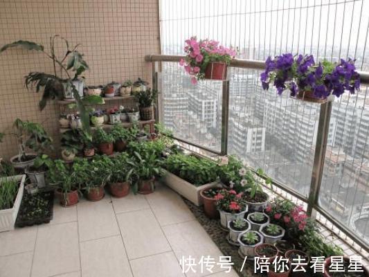 肥料|养花就用它来浇,怎么浇都肥,怎么养都好,植物很容易爆盆