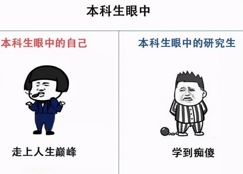 “研究生”VS“本科生”的对比图，之间的差别，被完美诠释出来