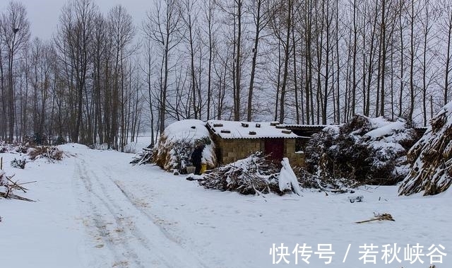 卢梅坡@诗词中的10场雪，《白雪歌送武判官归京》仅列第二，谁高居榜首？