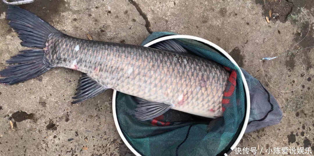 钓鱼和不钓鱼有哪些区别?你可能没发现,钓鱼人有6个特征