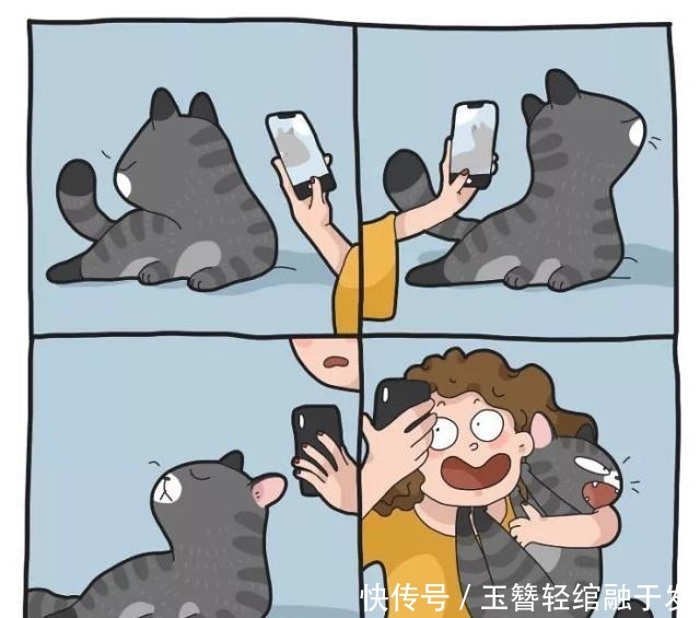 养猫|养猫很有趣吗艺术家用插画描绘出那些,搞笑又暖心的时刻