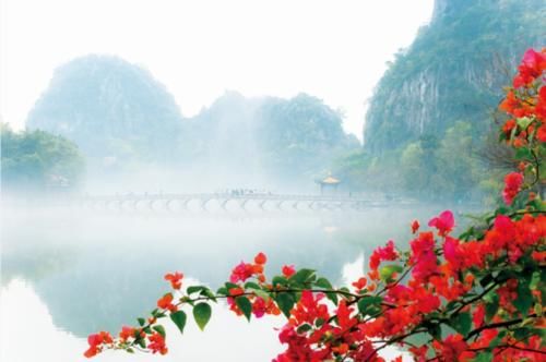 有一种红，叫簕杜鹃；有一种美，叫星岩烟雨!