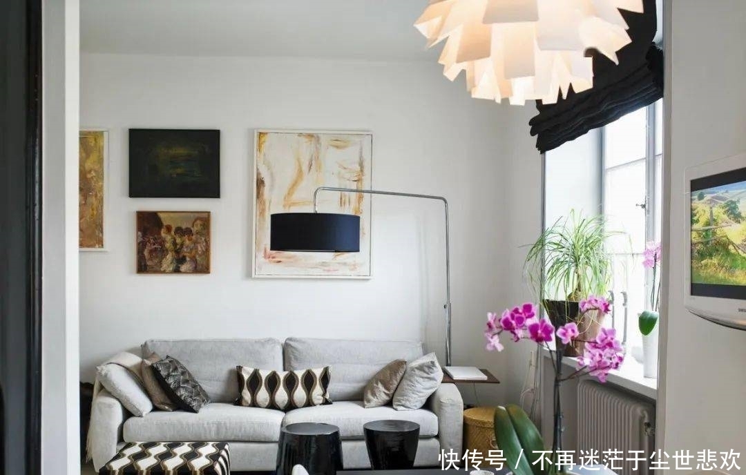 客厅花草别乱养,过年摆上这6种,添喜又添吉