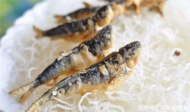 杂鱼|这种鱼三年才长10厘米,很容易误认是小杂鱼,现在要千元一斤