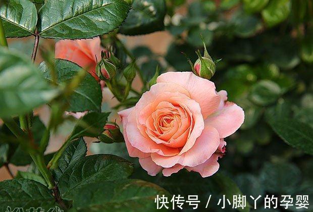 阳台系列之假日阳台