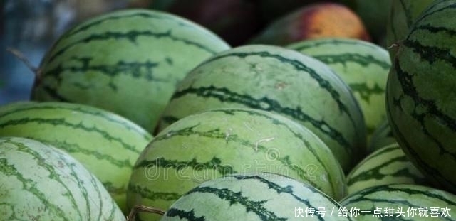 西瓜|挑西瓜时,别再拍来拍去了,教你简单3招,西瓜皮薄汁多还很甜