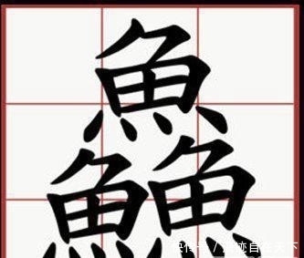 输入法最难的字 输入法最难的字