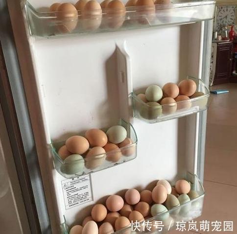 做法|去闺蜜家发现,厨房没有一个塑料袋,做法真高级,拍给大家瞧瞧