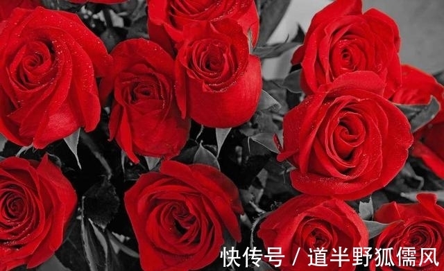 四大生肖|9月开始事业一帆风顺,鸿运当头,人穷志不短的四大生肖