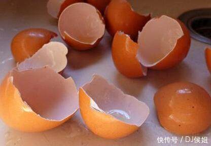 养殖盆栽花草,鸡蛋壳弄碎没用,需要这样进行加工