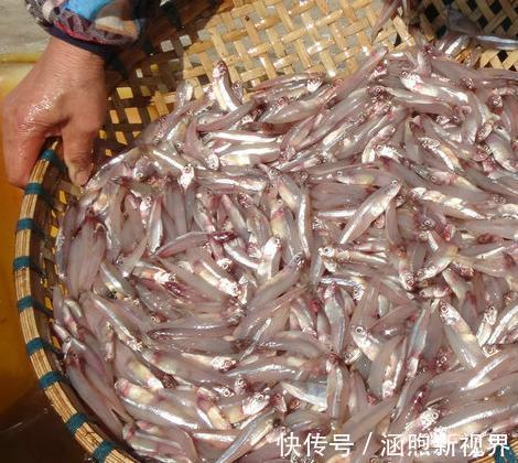 甘油酸|一旦年过55,男人再穷!也建议常吃这几样,走路带风,活力十足