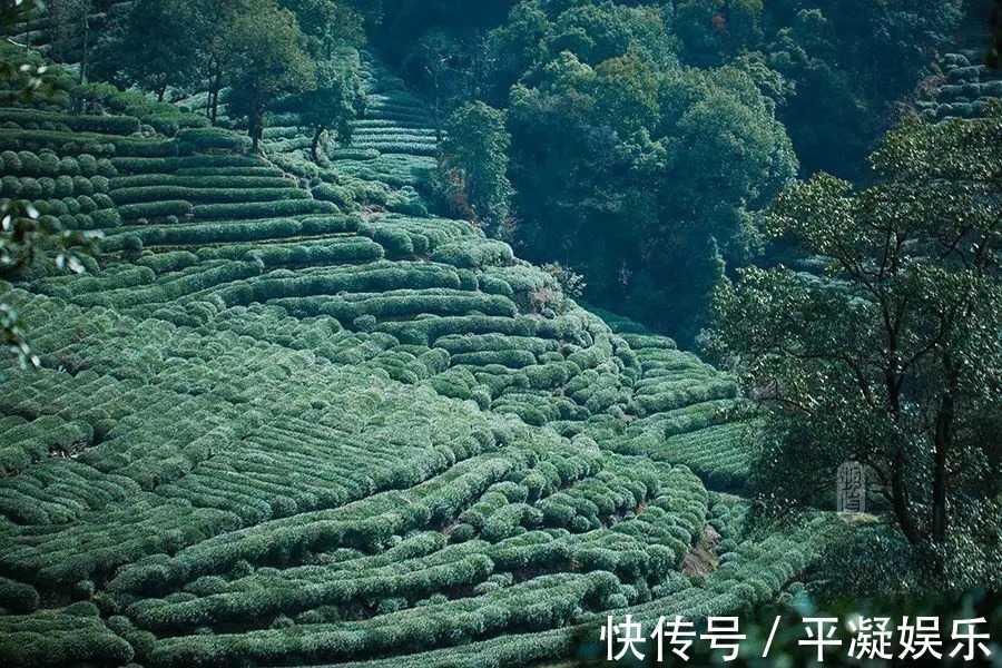 心得!弘一法师总结50年的做人心得!你能做到几条?