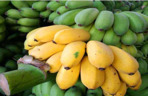 女性|女性不想子宫“脏脏的”,多吃4种食物,排出毒素,滋养女性子宫