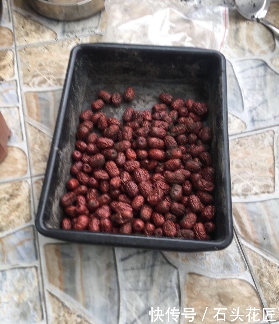 家里“4种东西”变质,埋在花盆里都“好肥料”,根壮、叶子绿