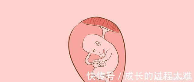 胎动|哪个月份胎儿长得最快产科医生这个月份长得最猛,孕妈把握住