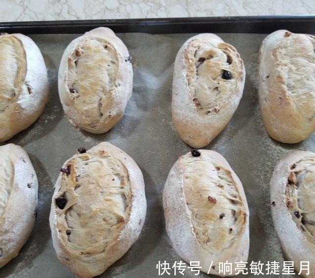 核桃蔓越莓软欧,外脆内软,越吃越香!