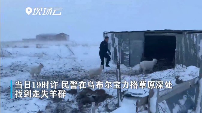 暴风雪|草原英雄“兄弟连”！为了3名牧民和300多只羊，暴风雪中，他们全警出动