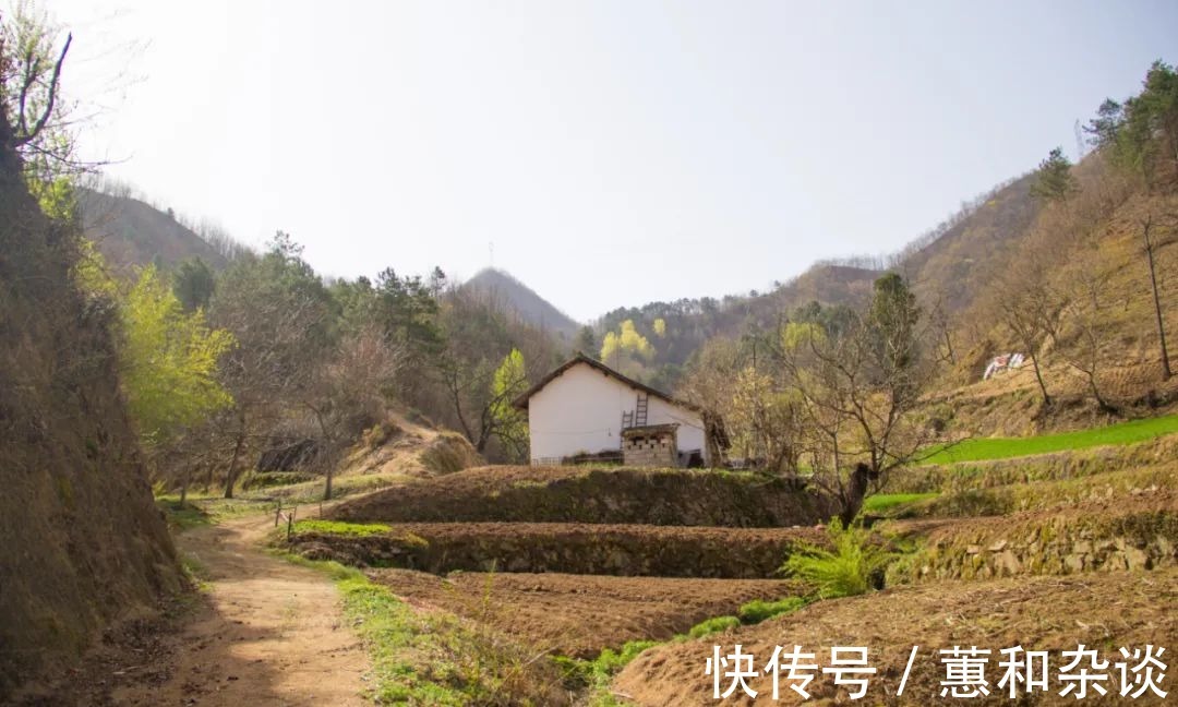 老房子|土地肥沃，树木茂密，在秦岭深山中，还隐藏着多少这样的老房子？