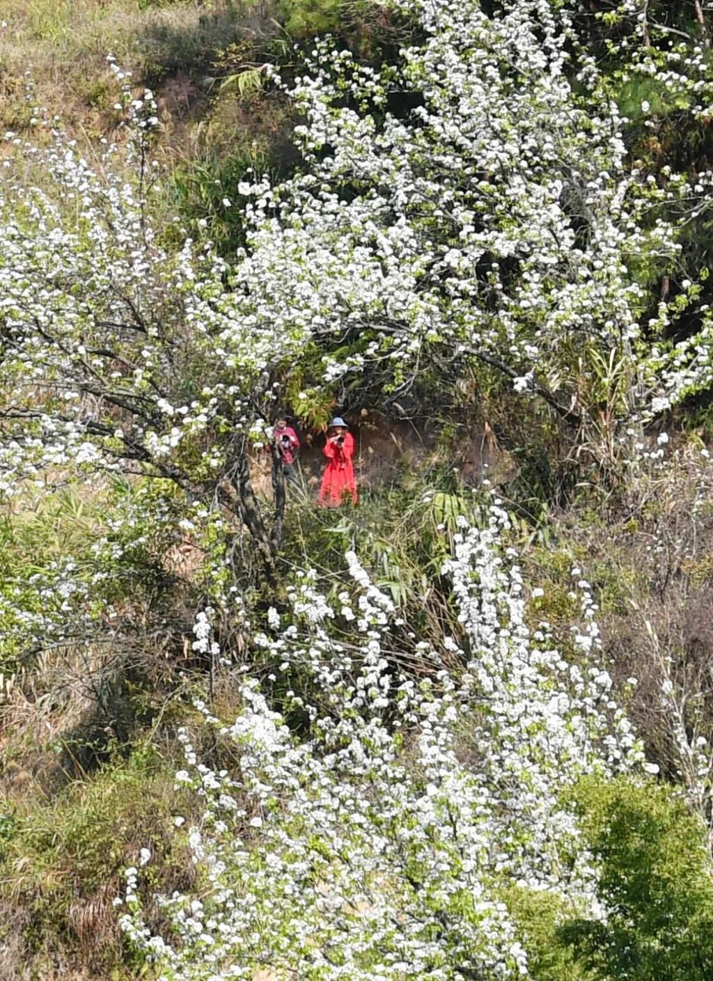 云浮大金山，有个像丹巴一样的地方