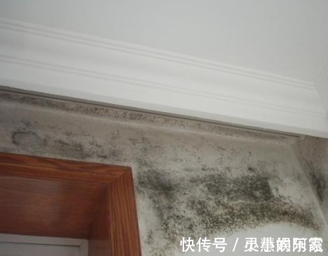 白墙好看容易脏教你清理白墙的4个小妙招,轻松去除白墙污渍