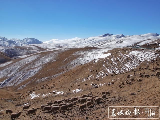 会泽草山：一个能尽情赏雪、玩雪的地方