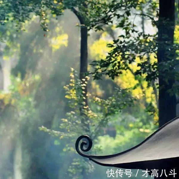 古诗词#古诗词之最:最深的情,给最懂的人