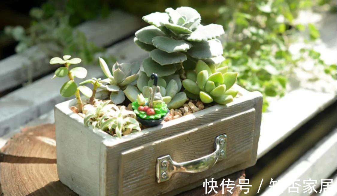 家居|日子过久了才发现,有的东西没必要买贵的,实用就行