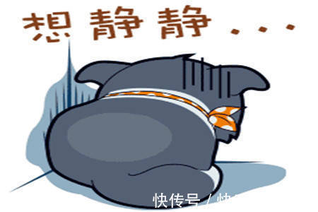 |幽默笑话：未来岳母大人太强势了，没办法只能租了辆保时捷去拜访