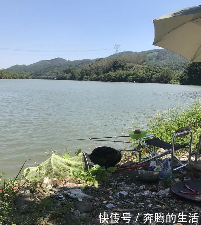 如何判断窝里有没有鱼进窝有信号,这三种情况果断走人