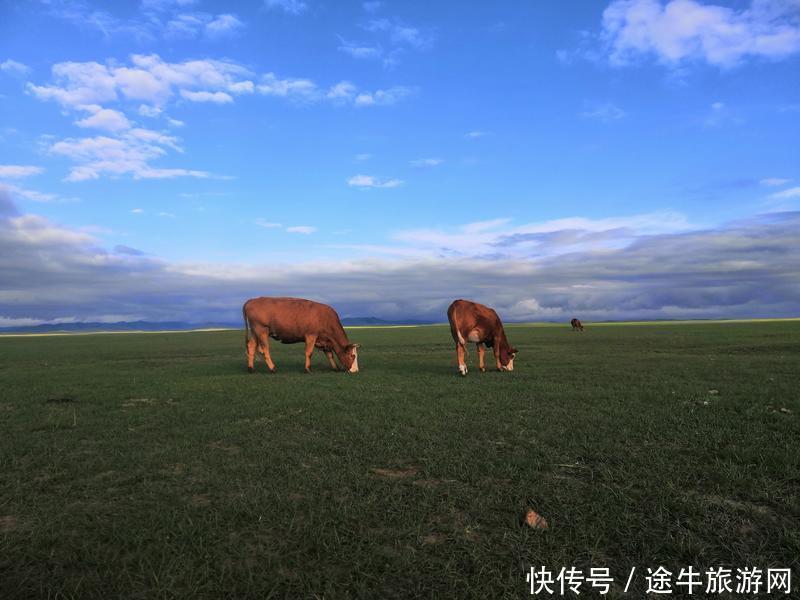 美丽的锡林郭勒大草原，最纯正的蒙元文化，最原始的游牧牧场