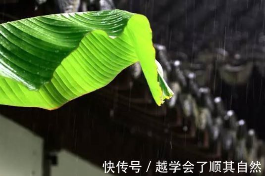 句句|一首别具一格的宋词,只字未提“雨”,却句句有雨声