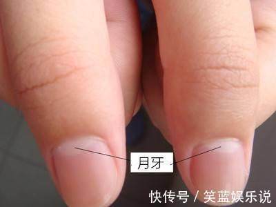 大拇|天然的“安眠药”，失眠多梦的克星，睡前吃几颗，摆脱失眠困扰！