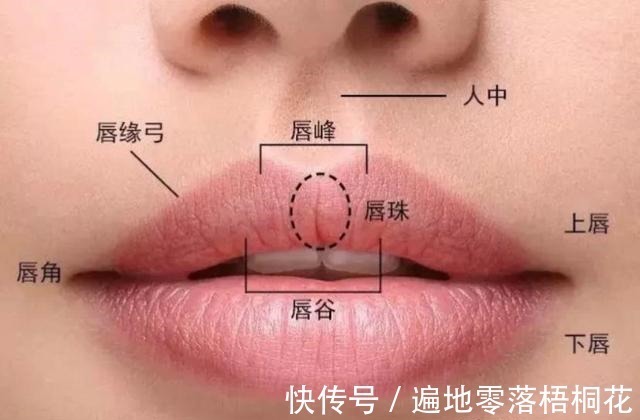 唇珠 公认的4种好看唇形,第一种很常见,第三种很高级!