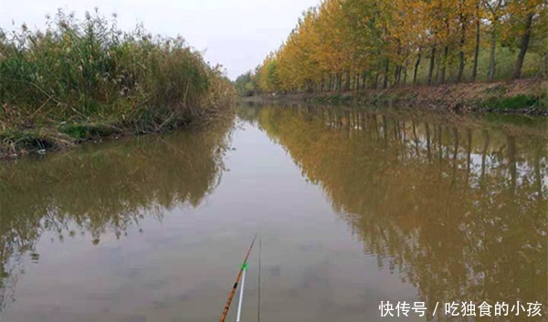 数九寒天钓鲫鱼,三种天气不出门,三种钓位别下钩,不然十有九空