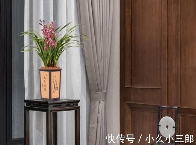 建兰四季兰|它被誉为“香花之王”,顶级红素,兰香四溢,花开后又仙又美