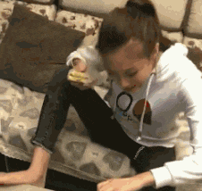 |搞笑GIF趣图:小朋友,看你骨骼惊奇,是天生的厨师体质!