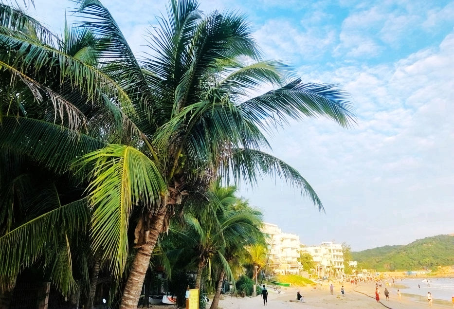 冲浪|美丽的风景，最美的海景——游美丽的后海村