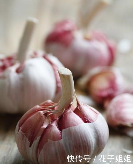 香菜|葱姜蒜,辣椒香菜,能否惹人爱