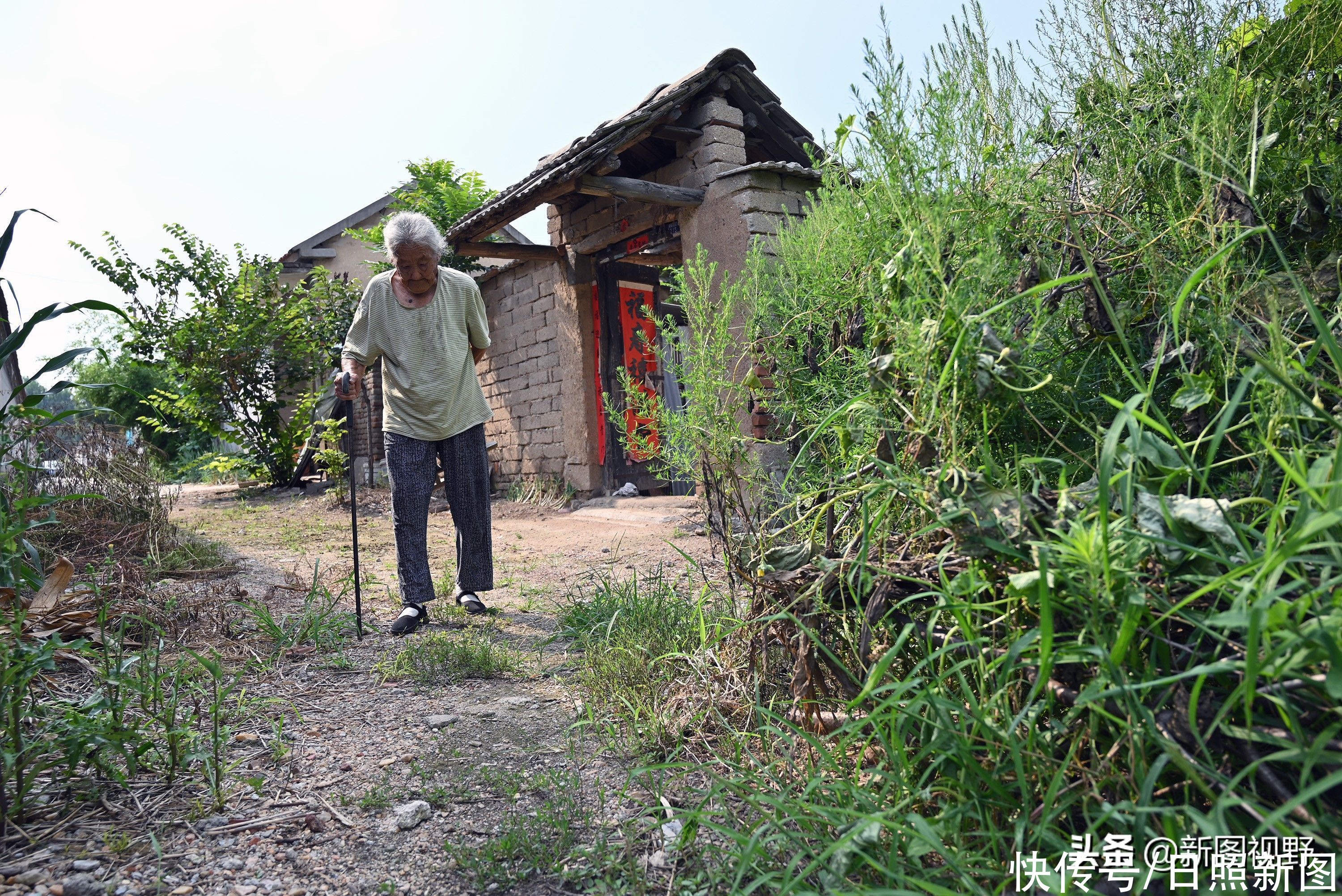 奶奶|100岁老人，每天都吃鸡蛋和大蒜，最爱逛街遛弯，长寿经验很简单
