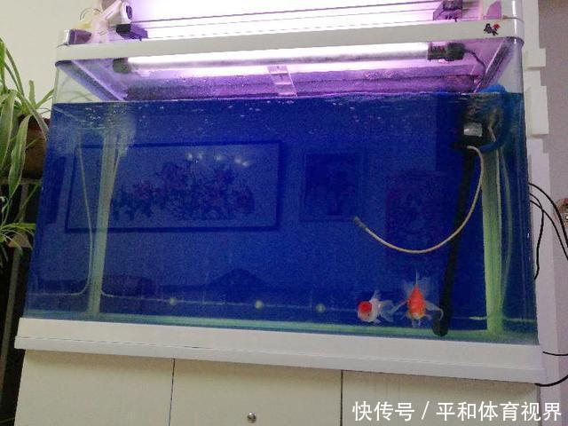 值得新手鱼友参考的 8 个建议，让你少一点迷茫