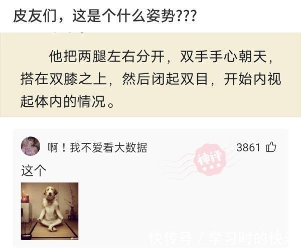 |神回复:发个段子,不然白翻了!