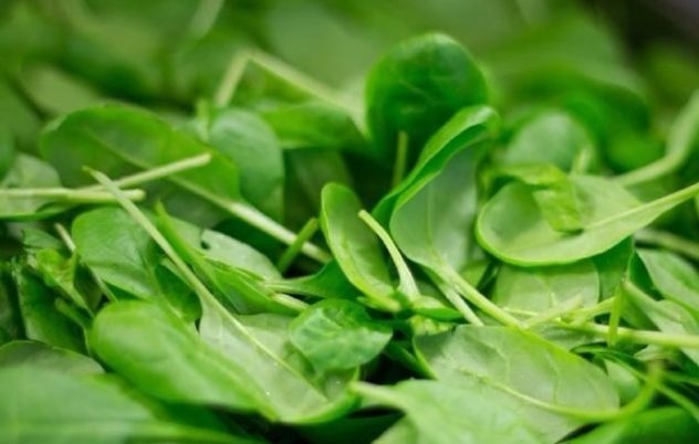 植物性|对身体极好的3种食物,补充营养、延缓衰老,早吃早受益!